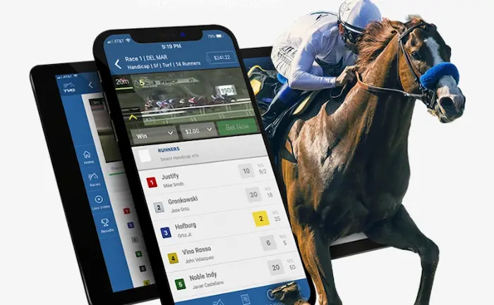 How to play betting on horse racing online